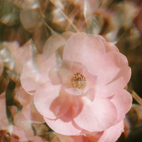 The Price of Vulnerability 4/4