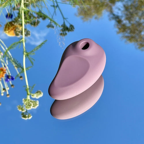 Klitorisstimulator/Vakuumvibrator - Alt det der er godt at vide