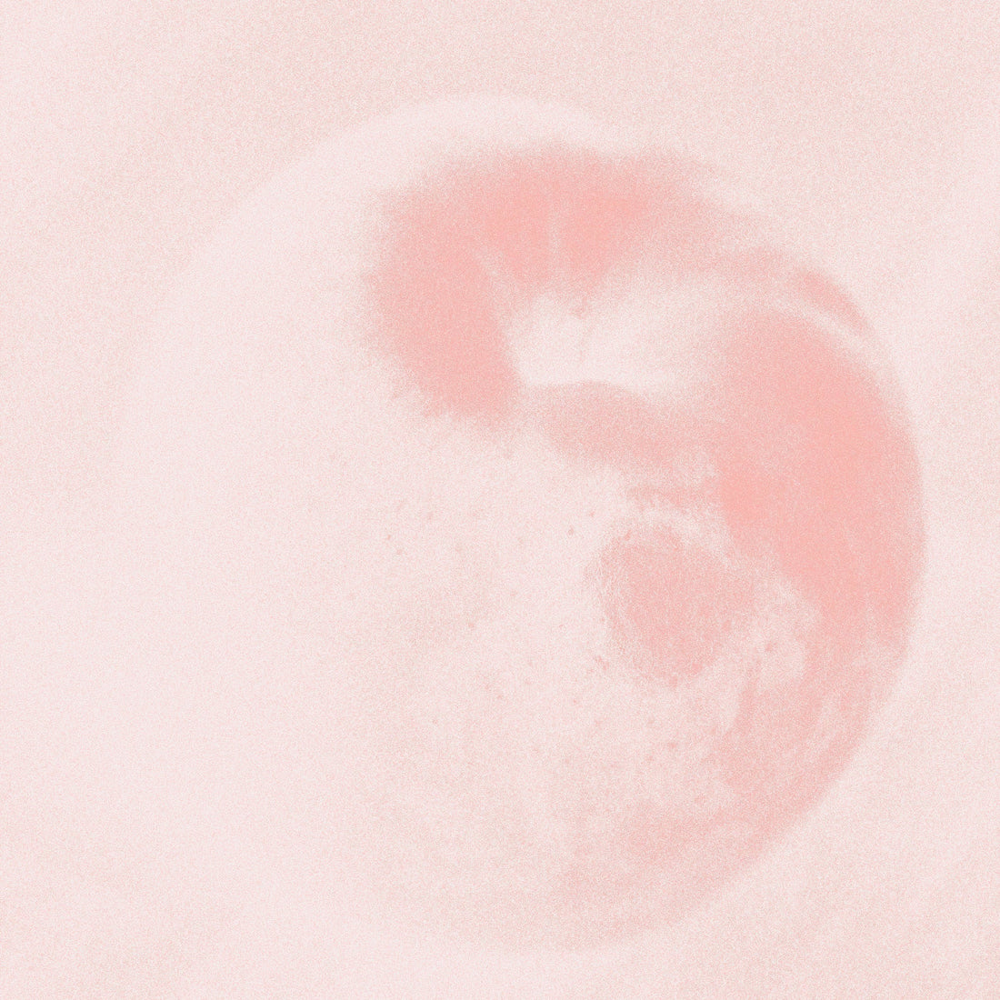 Den store guide til rimjob